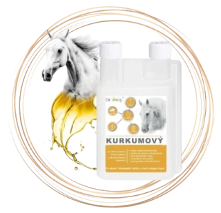 Dromy Kurkumový sirup 1 l