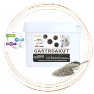 Dromy GastroAkut